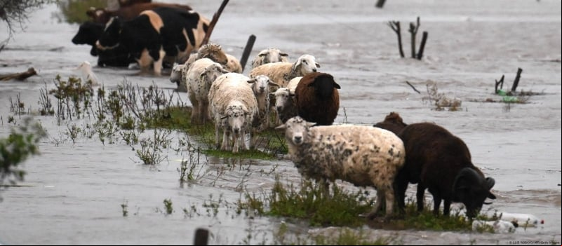 Capa Argentina: agronegócio sofre com enchentes na província de Buenos Aires